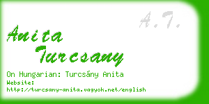 anita turcsany business card